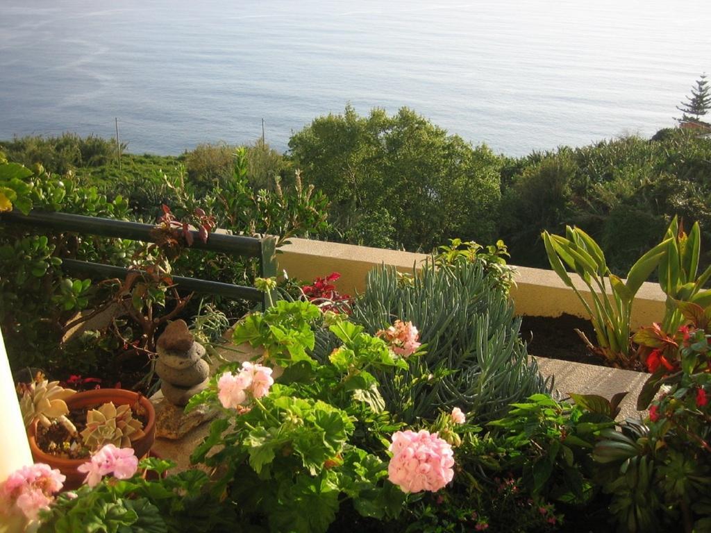 Apartamento Do Sol Arco da Calheta  Exterior foto